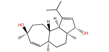 Cyanthiwigin W